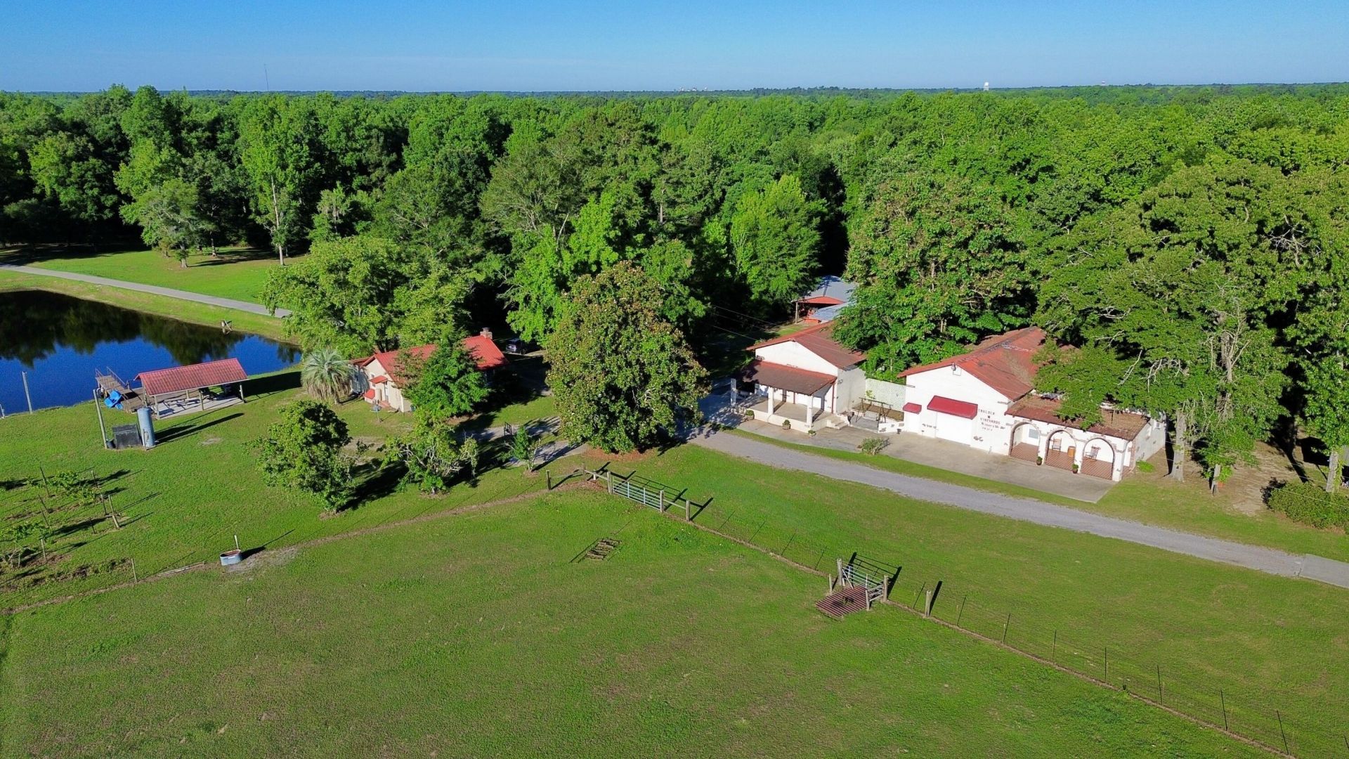701 Truluck Vineyard Road Photo 28