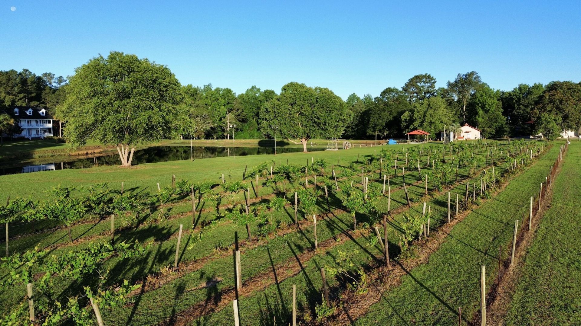 701 Truluck Vineyard Road Photo 45