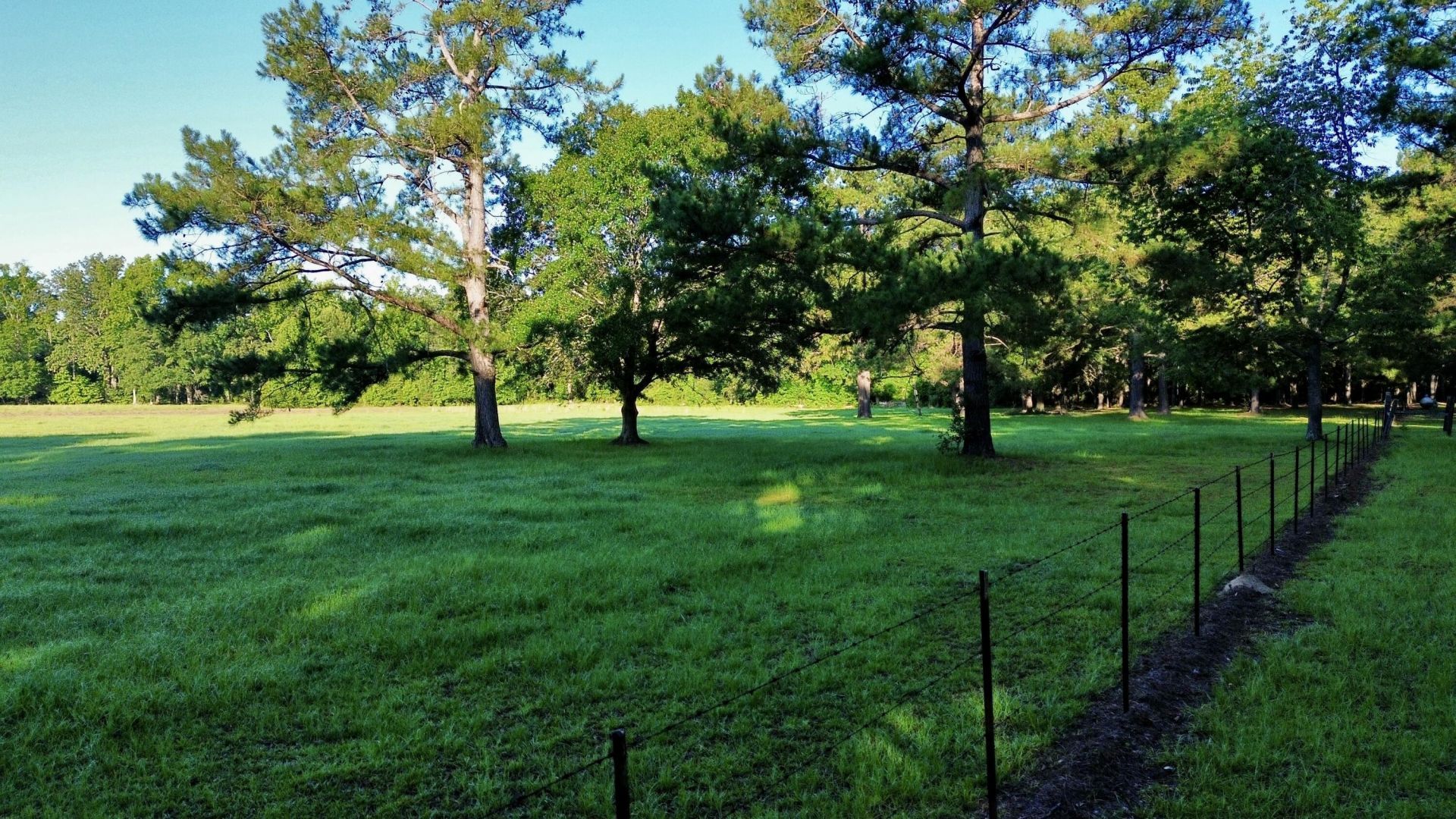 701 Truluck Vineyard Road Photo 48