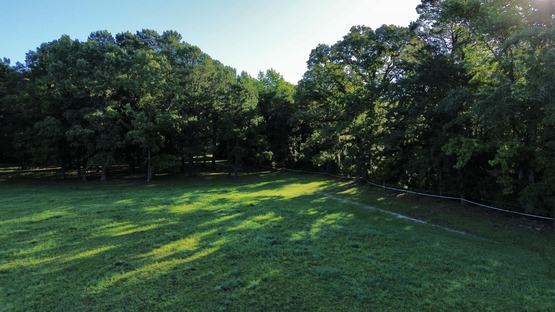 701 Truluck Vineyard Road Photo 49