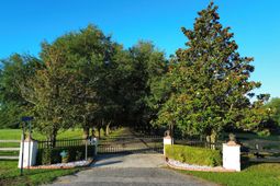 701 Truluck Vineyard Road photo 4