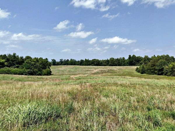 TBD Polk Road 283 , Hatfield, AR 71945
