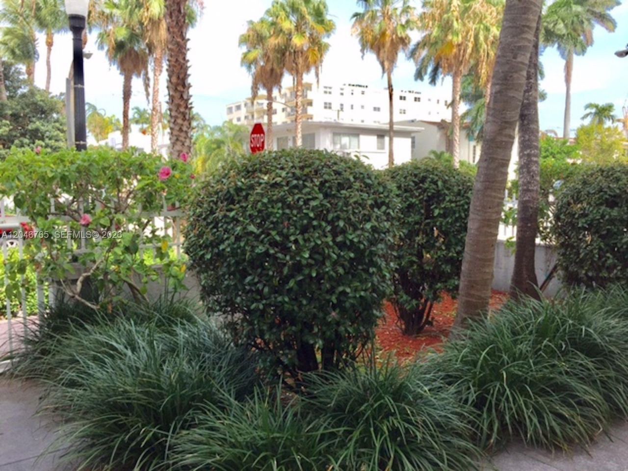 802 Euclid Ave , Unit 201, Miami Beach, FL 33139 Photo