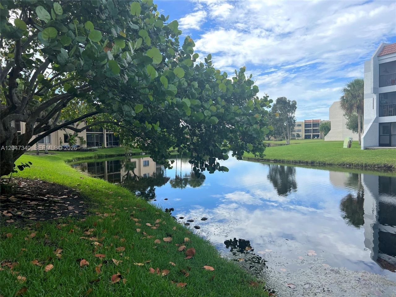 182 Lakeview Dr, Unit 204, Weston, FL 33326 Photo
