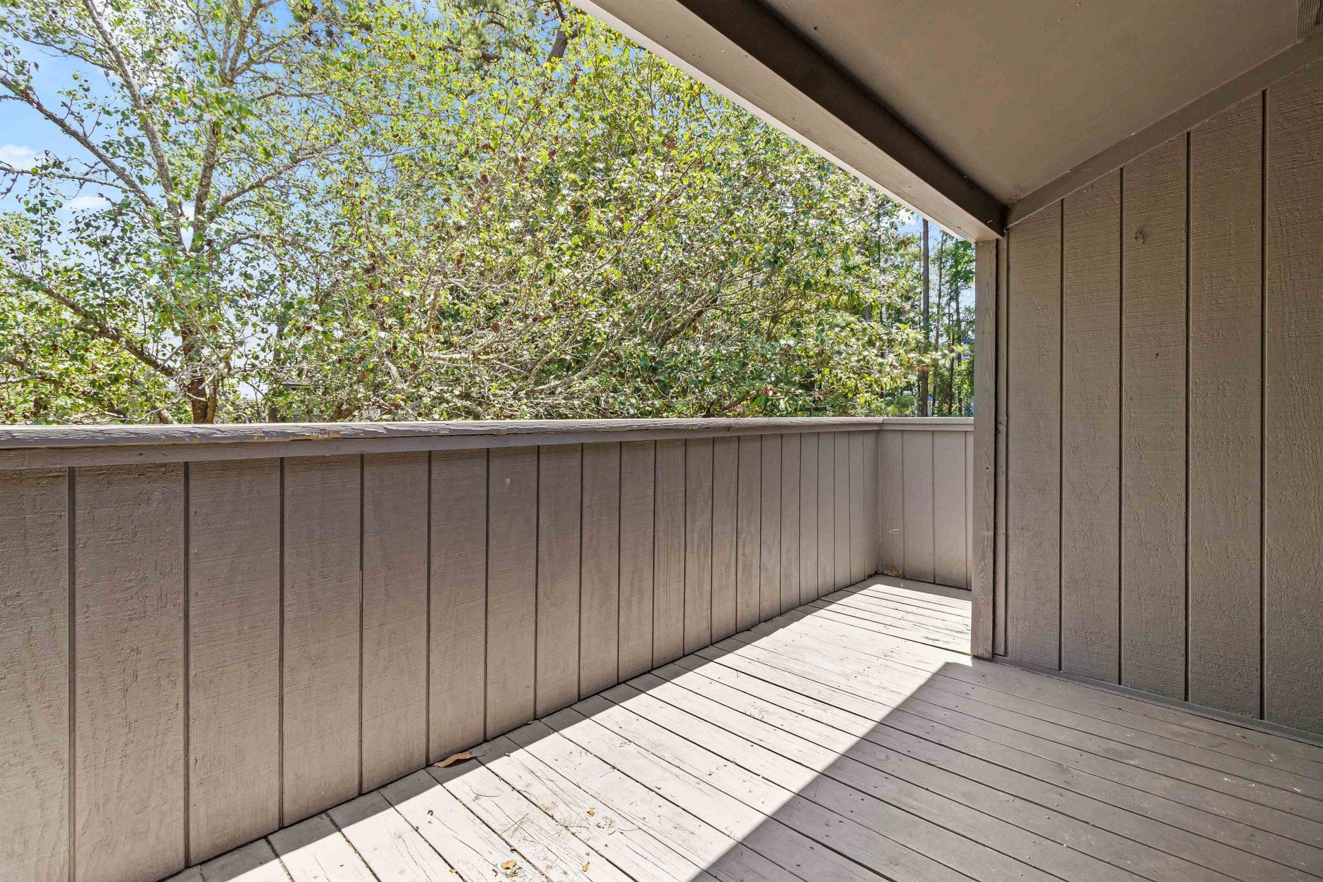 10301 N Kings Hwy. Photo 16