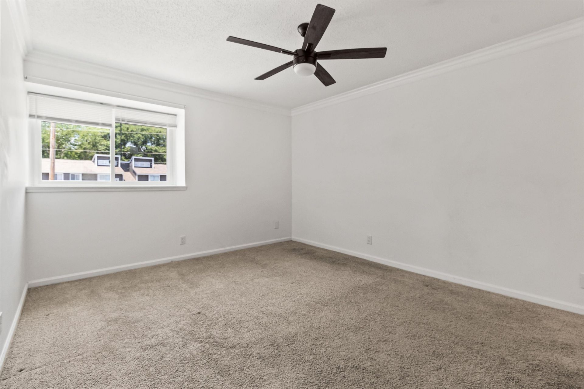 10301 N Kings Hwy. Photo 8