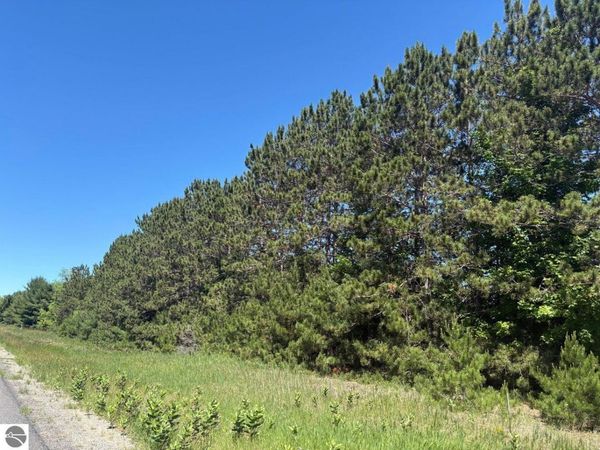 7 Butwell Road, Bear Lake, MI 49614