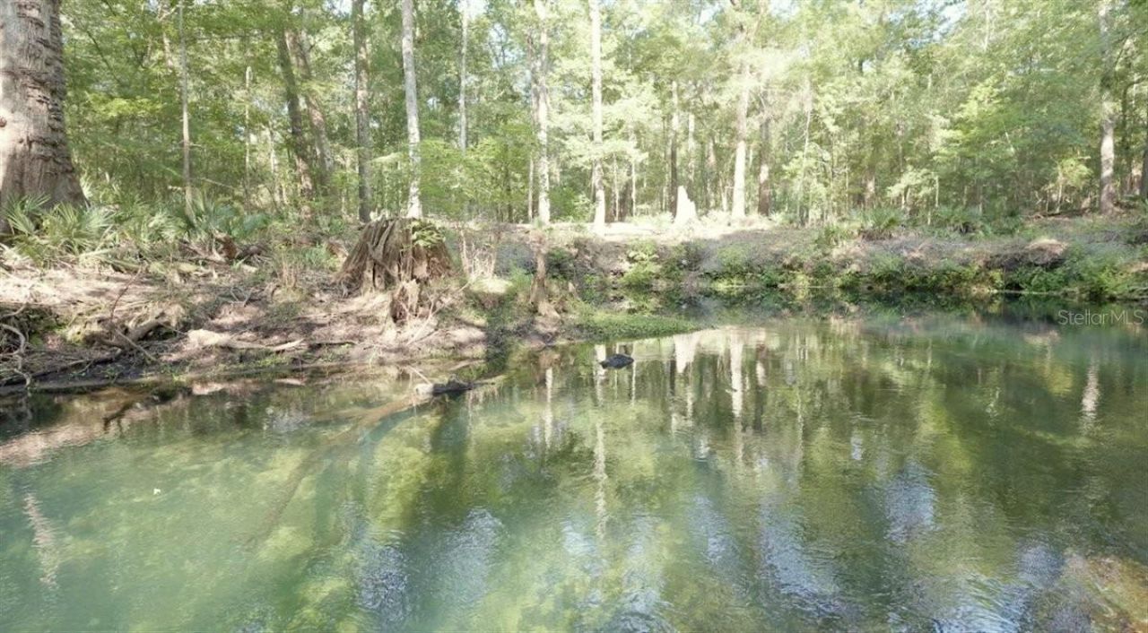 5278 SW County Road 138, Fort White, FL 32038 Photo