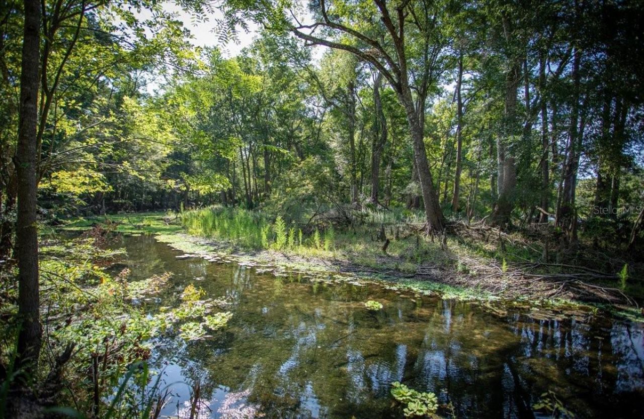 5278 SW County Road 138, Fort White, FL 32038 Photo