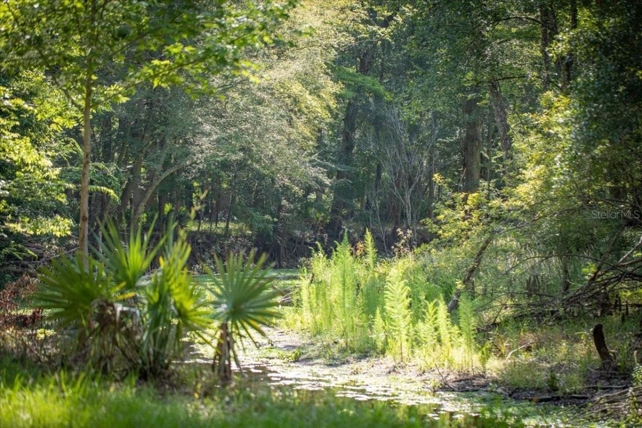 5278 SW County Road 138, Fort White, FL 32038 Photo