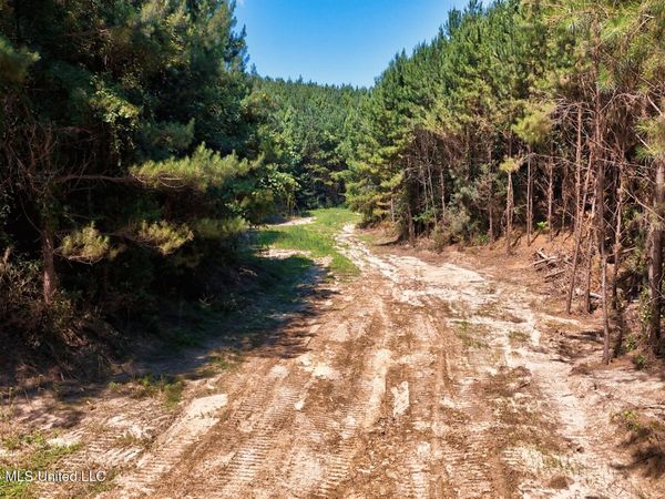 NW Ben Briggs Road, Roxie, MS 39661