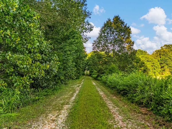 9593 County Road 9660, Koshkonong, MO 65692