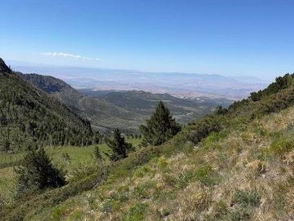 Beryl, UT 84714