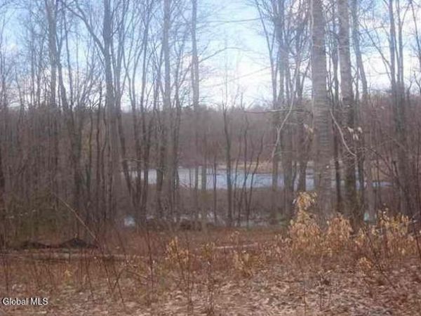 1980 Weast Road, Pattersonville, NY 12137