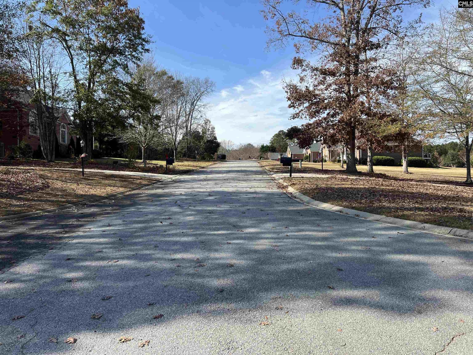 127 Deer Ridge Drive Photo 5