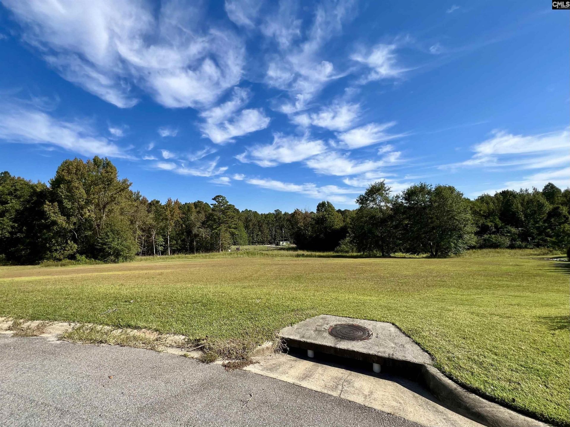 127 Deer Ridge Drive Photo 6