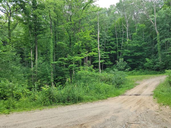 2996 Court Drive SE, Lowell, MI 49331