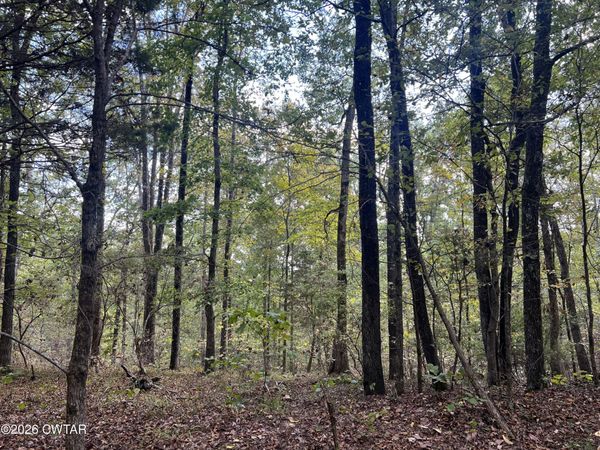 4600 Silerton Road , Henderson, TN 38340