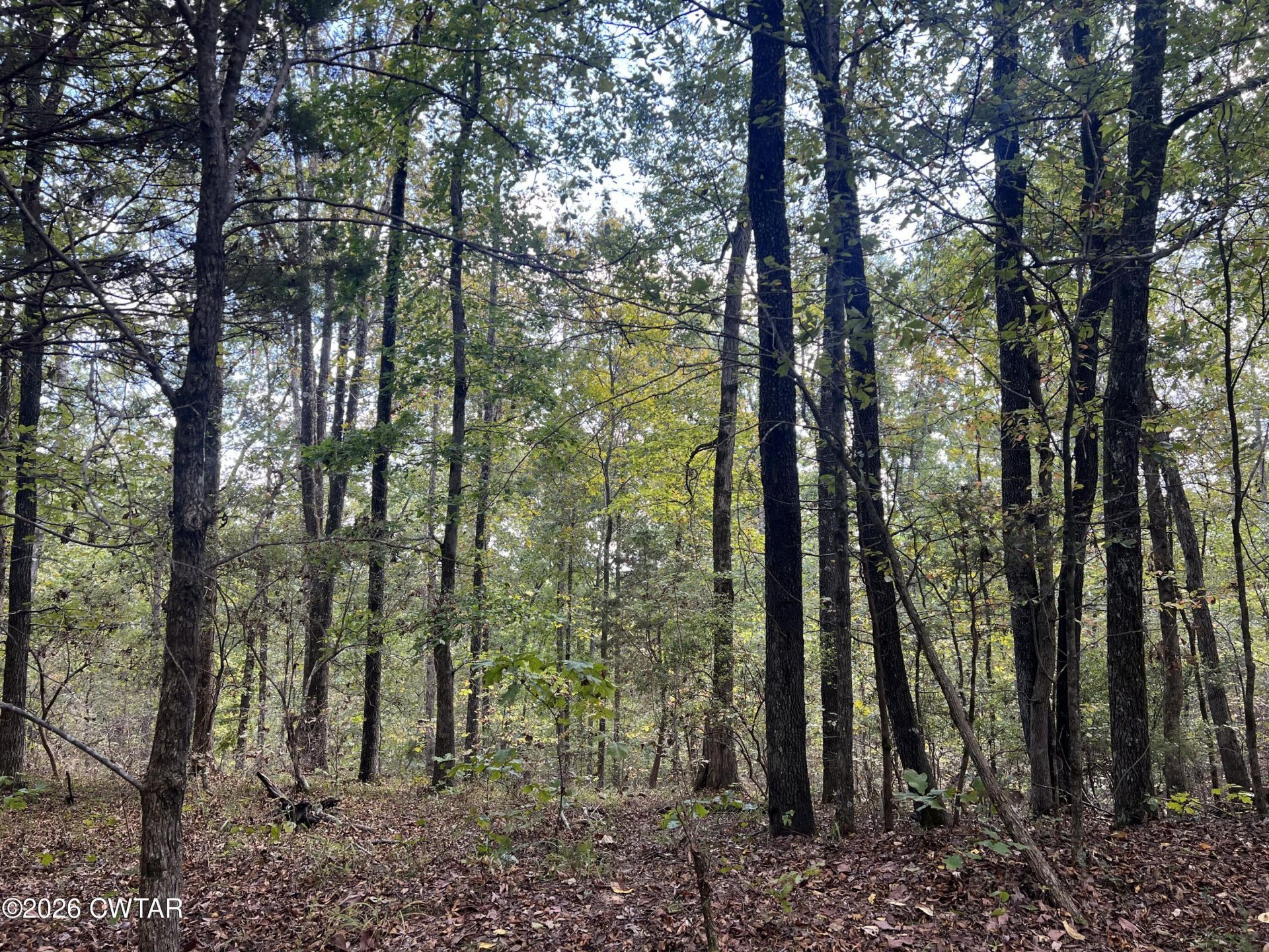 4600 Silerton Road, Henderson, TN 38340 Main Photo