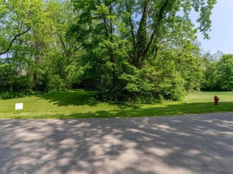 0 Chester Estates Drive , Unit Lot 124, Chesterville, OH 43317 Photo 11