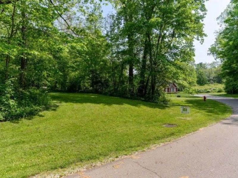 0 Chester Estates Drive , Unit Lot 124, Chesterville, OH 43317 Photo 13