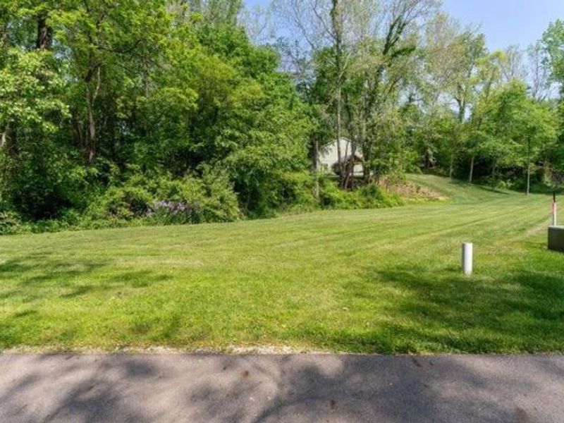 0 Chester Estates Drive , Unit Lot 124, Chesterville, OH 43317 Photo 5
