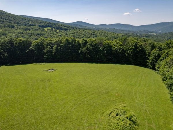 Lot 43 Tower Mountain Road , Stamford, NY 12167