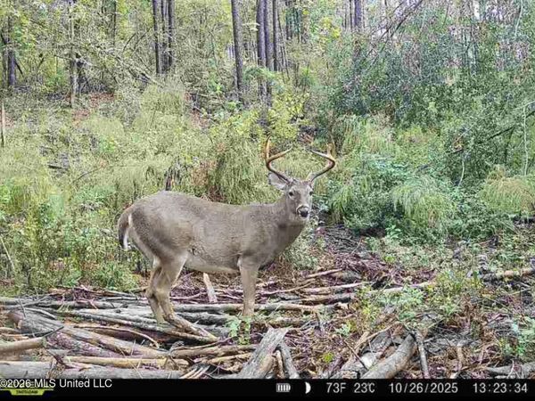 NW Union Road, Brookhaven, MS 39601