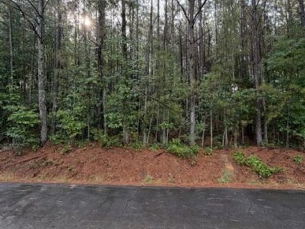 ERVIN COKER RD. Ervin Coker Road, Rome, GA 30161