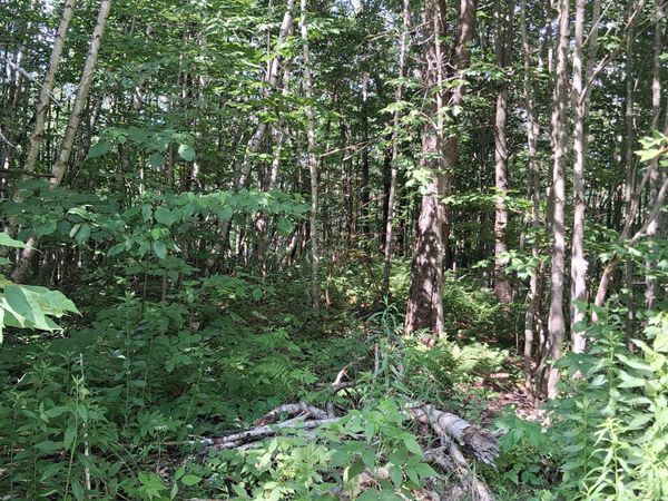 Lot 2 Ballground Road, Unit 2, Westfield, VT 05874