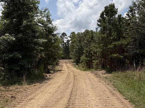 TBD Easement Road off Polk Road 31 , Cove, AR 71937
