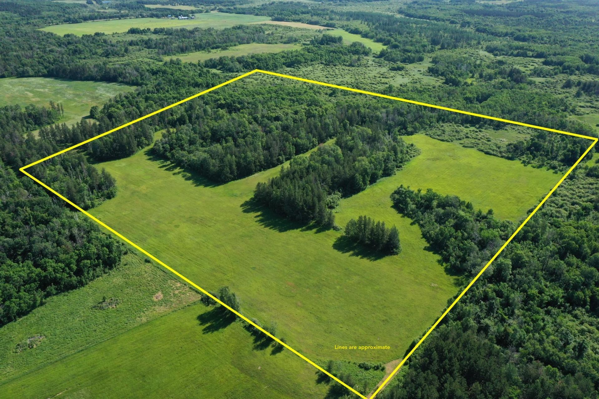 Tbd 205th Avenue, Sebeka, MN 56477 Main Photo