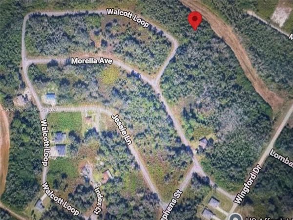 1991 WALCOTT LOOP , Lehigh Acres, FL 33972
