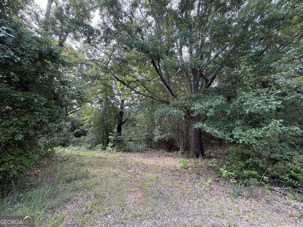 1081 Cleveland Avenue, Buckhead, GA 30625