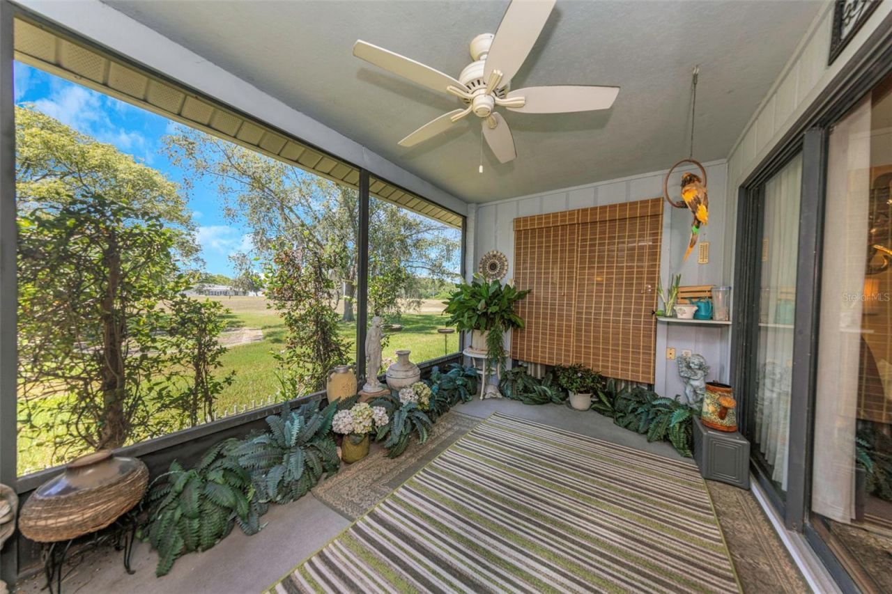 10665 Fallen Leaf Lane, Port Richey, FL 34668 Photo