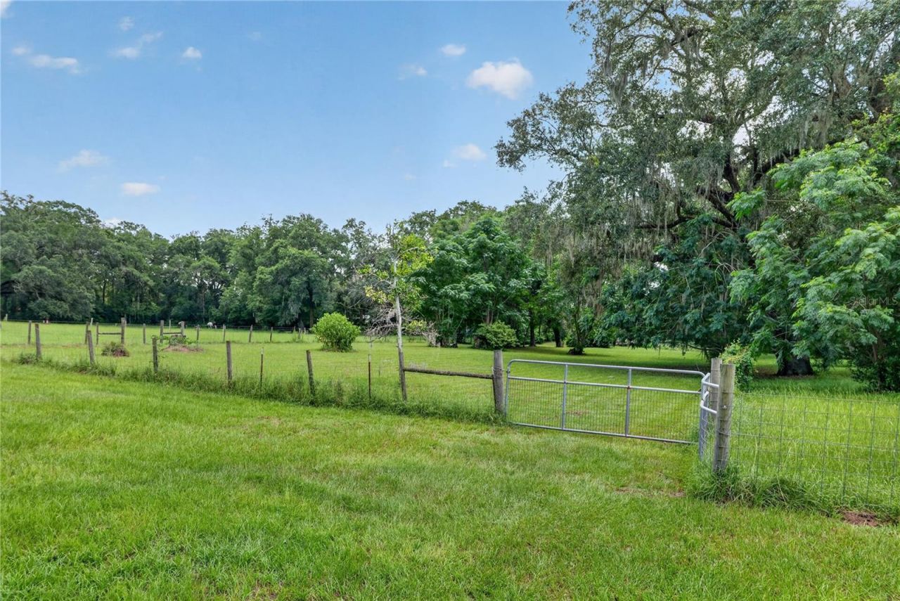2039 SW State Road 26, Trenton, FL 32693 Photo
