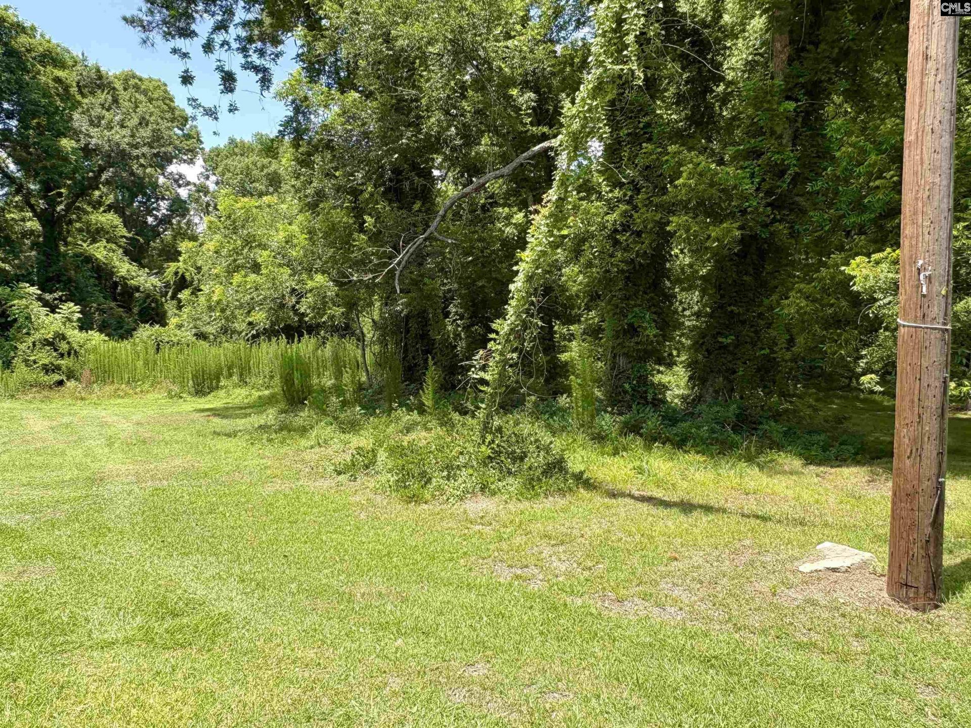 127 Feaster Street Photo 9