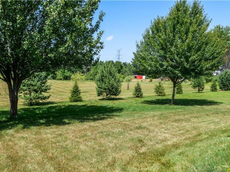 10214 Ridgeview Court, Streetsboro, OH 44241 Photo 39