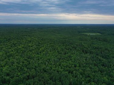 TBD 269th Avenue , Laporte, MN 56461