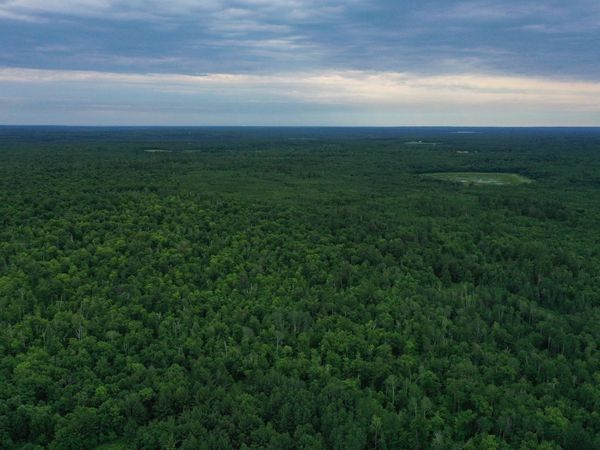 TBD 269th Avenue , Laporte, MN 56461