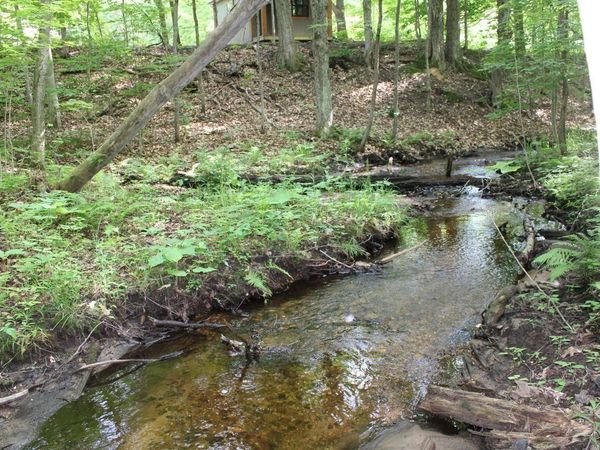 2750 Apple Creek Road NE, Kalkaska, MI 49646