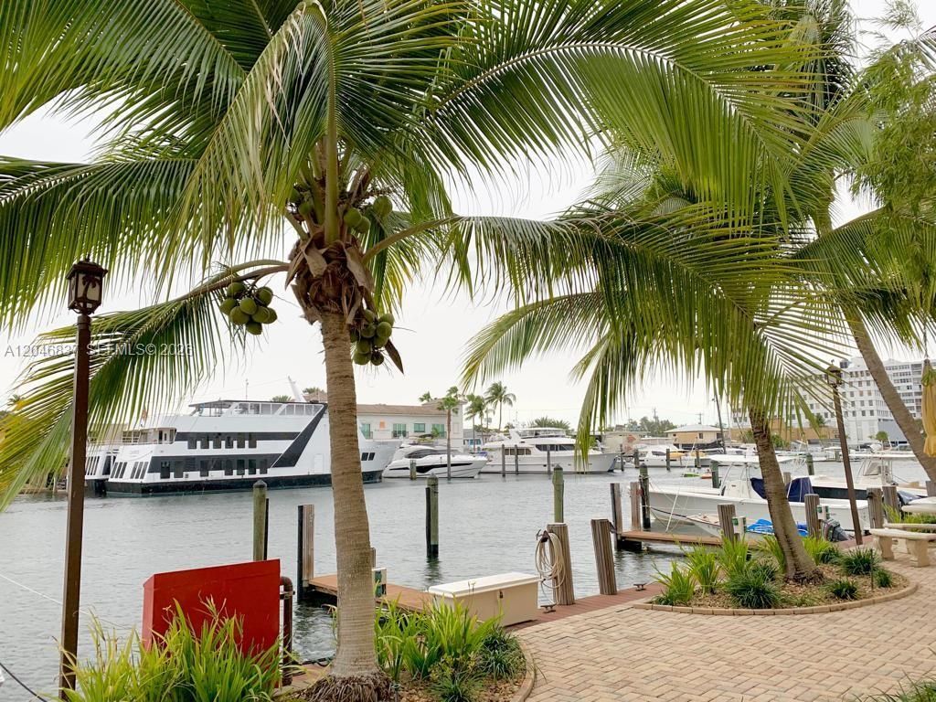 815 Middle River Dr , Unit 204, Fort Lauderdale, FL 33304 Photo