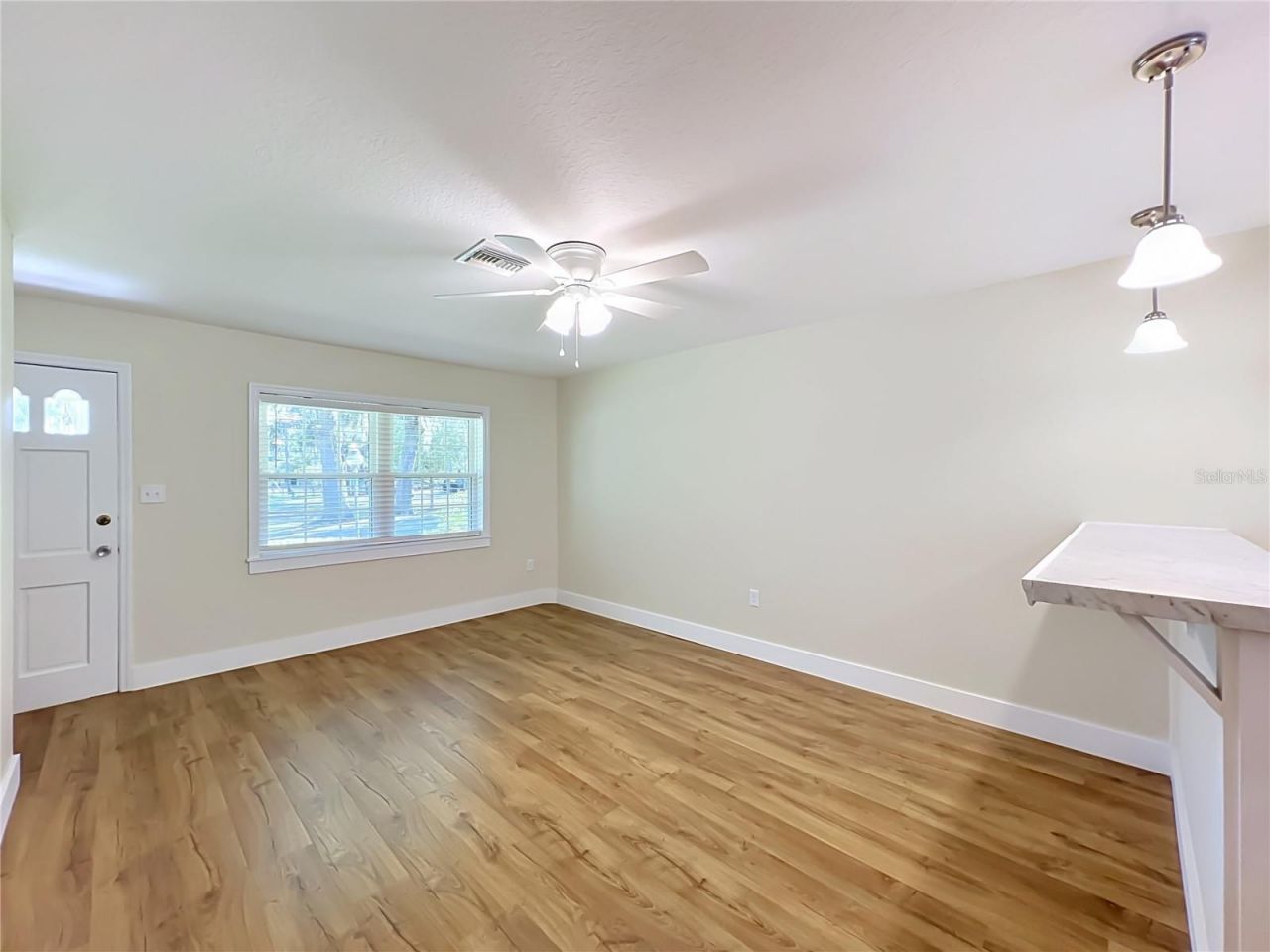450 Liberty Avenue , Unit 3, Mount Dora, FL 32757 Photo