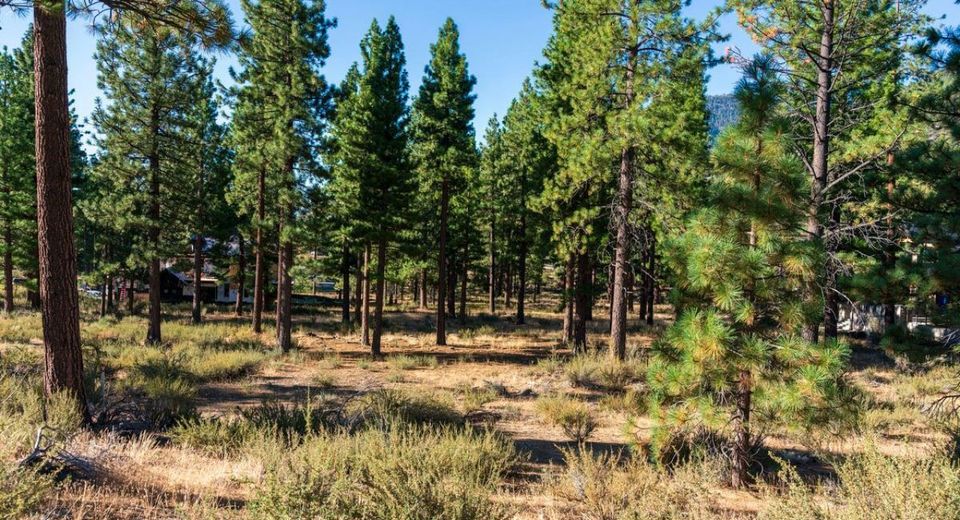 3379 Golf Club Drive, Lot #125, Carson City, NV 89705 Photo