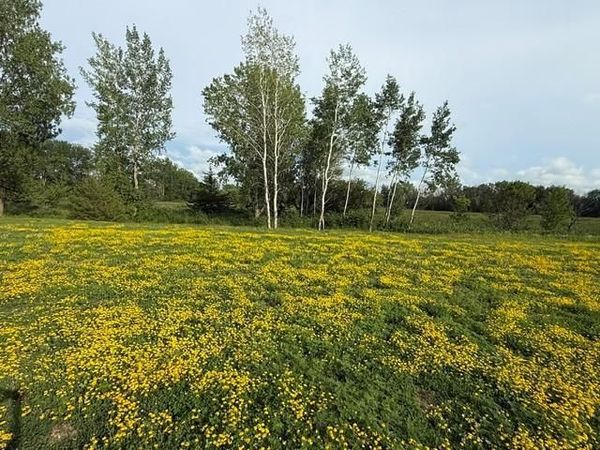 26361 Preserve Drive , Elko New Market, MN 55054