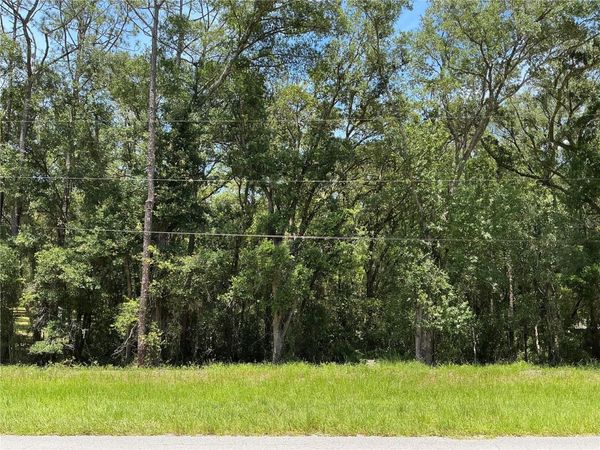 SW 102ND ST ROAD , DUNNELLON, FL 34431