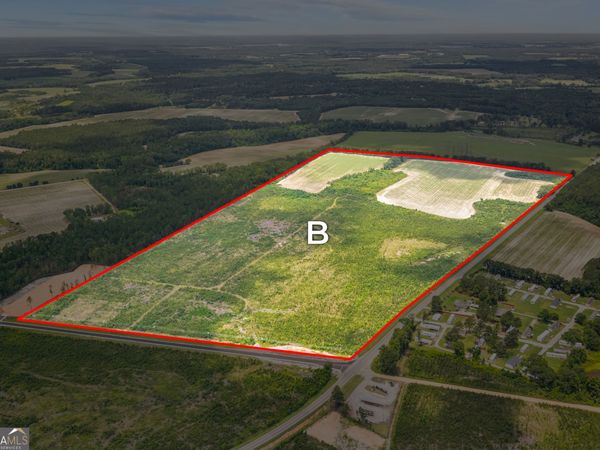 0 Highway 46, Register, GA 30452