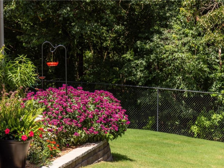 Property Image 58