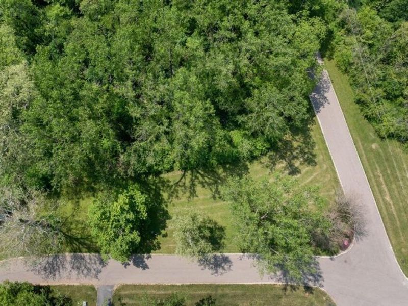 0 Chester Estates Drive , Unit Lot 131, Chesterville, OH 43317 Photo 2