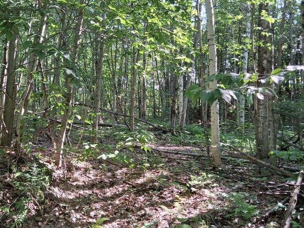 Lot 3 Ballground Road, Unit 3, Westfield, VT 05874